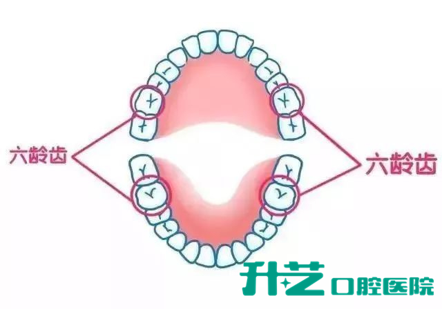 中山牙科