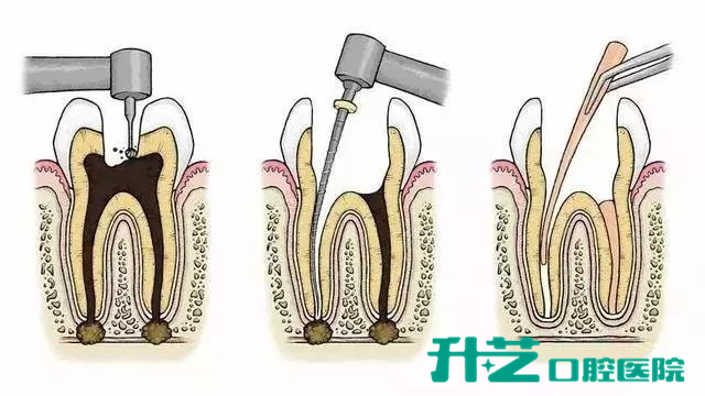 中山牙科