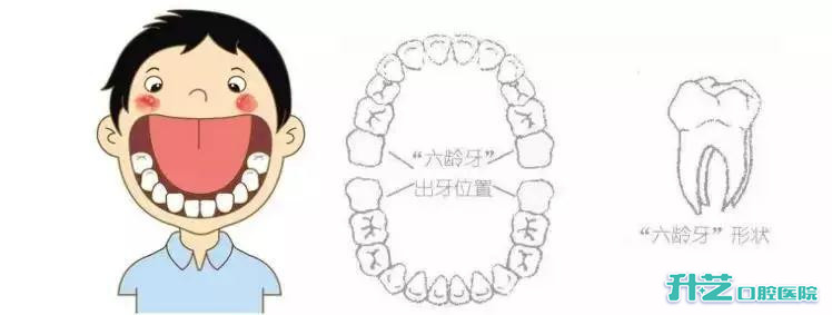 升艺口腔医院